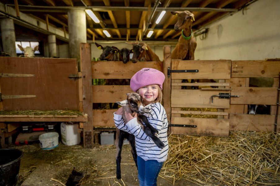 © Visit of the Thoules goat farm - Cyril Entzmann