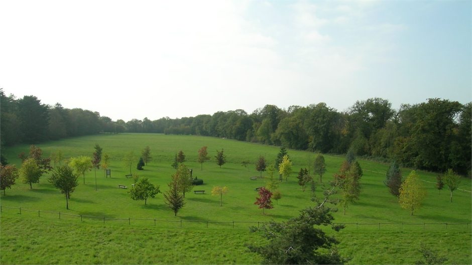 Arboretum of Ripaille