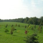 Arboretum of Ripaille