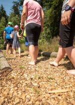 Barefoot walking in the peat bogs of the Chablais Geopark