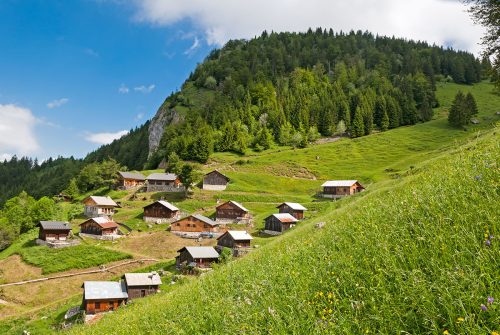 Tréchauffé Alpine Pasture