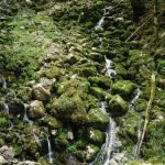 Gorges du Pont du Diable