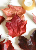 Family herbarium tour - Gardens of the five senses