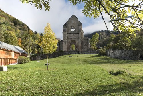 Abbey discovery centre