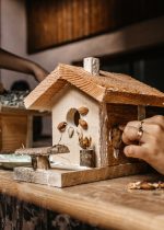 Bird-box workshop