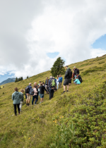 Medicinal plant walk