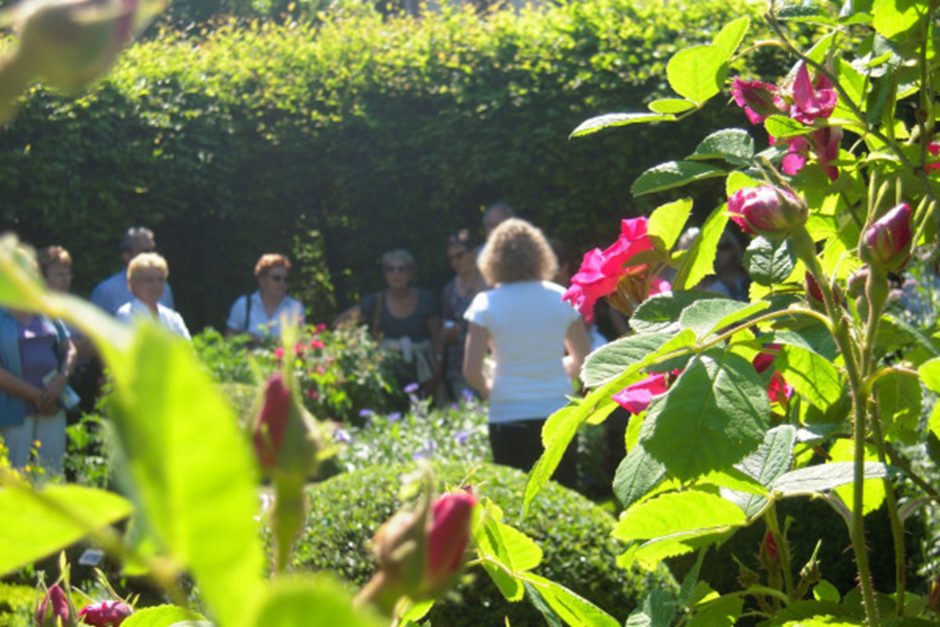 © Visite guidée au Jardin des 5 Sens - @Jardin 5  sens