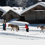 © Vallée d'Aulps - Yvan Tisseyre/OT Vallée d'Aulps