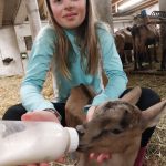 © Visit of the Thoules goat farm_La Chapelle-d'Abondance - Chèvrerie des Thoules - CRUZ-MERMY Caroline et Gérard