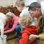 © Visit of the Thoules goat farm_La Chapelle-d'Abondance - Chèvrerie des Thoules - CRUZ-MERMY Caroline et Gérard