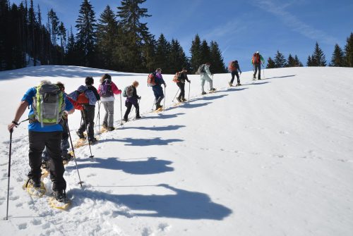 Day snowshoe hike in the Abondance Valley