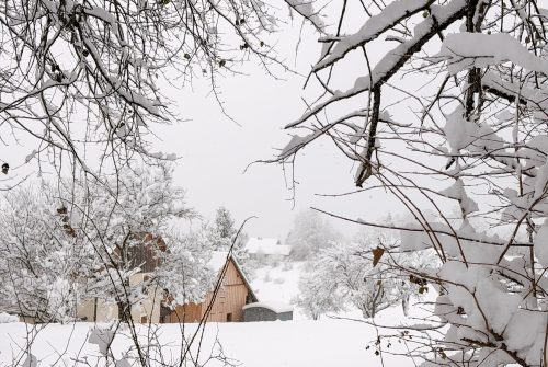 Guided tour of the village resort of Thollon-les-Mémises