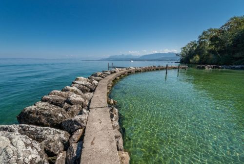 Domaine de Rovorée - La Châtaignière