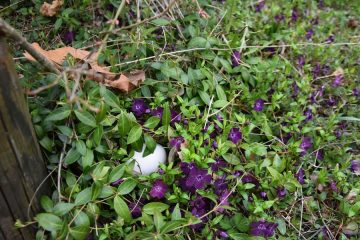 Easter egg hunt at the Tropiquarium_Servion