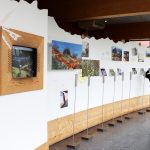 The House of Gruyère