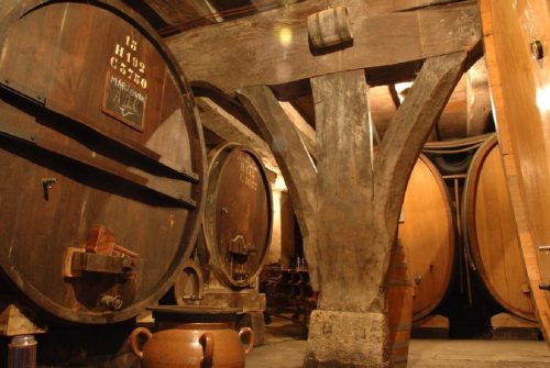 Medieval cave of the Château La Tour de Marignan