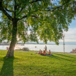 La plage de Sciez-sur-Léman, engazonnée et arborée assurant convivialité et détente en famille au bord du lac Léman.