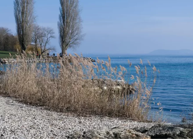 What are the natural reserves on Lake Geneva?