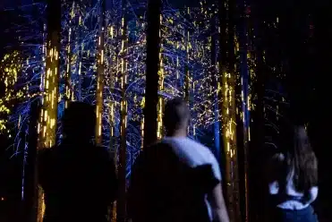 Les Gets Alta Lumina