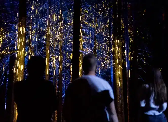 Les Gets Alta Lumina