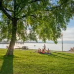 La plage de Sciez-sur-Léman, engazonnée et arborée assurant convivialité et détente en famille au bord du lac Léman.