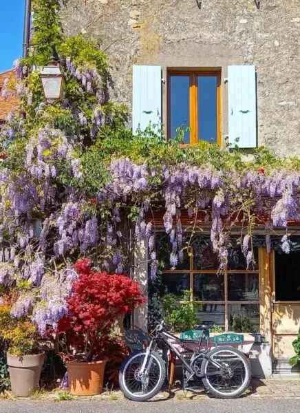 La cité médiévale d'Yvoire au bord du lac Léman est un havre de paix ; ce village étant fermé aux voitures on peut profiter de ses ruelles à pied ou en vélo.