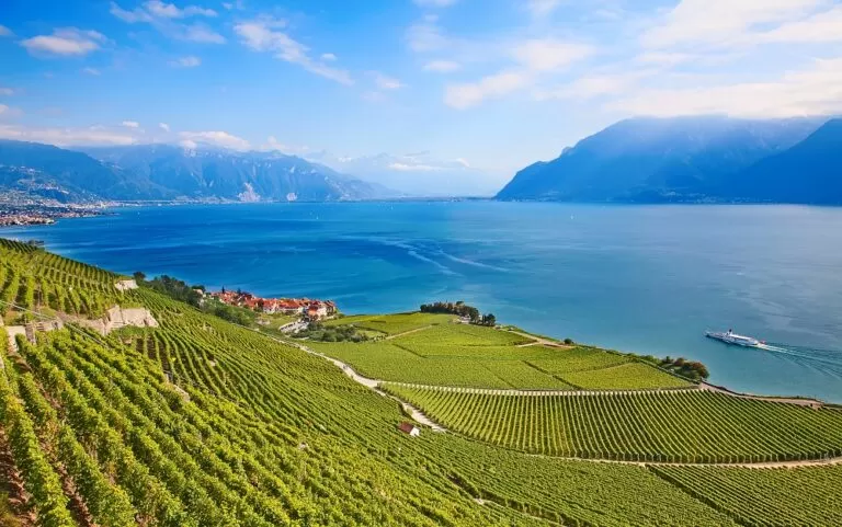 Vignobles de la région du Lavaux en bordure du lac Léman, Patrimoine mondial de l'Unesco